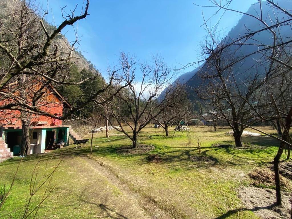 The Royal Orchard Kasol Exterior foto
